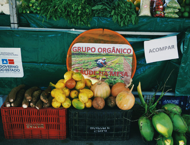 6F8FD945-AA7F-43FD-B890-87239E65A925