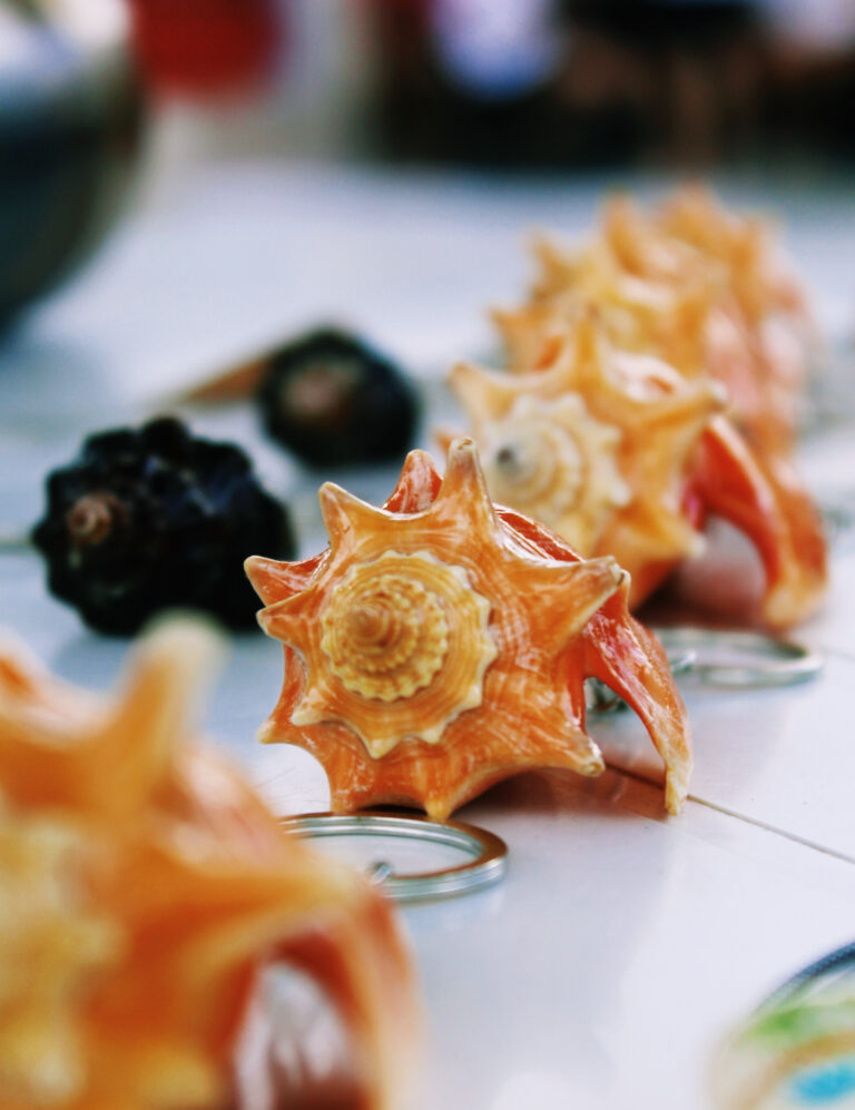 C916AA99-D05A-40E8-AB26-629E541D606F